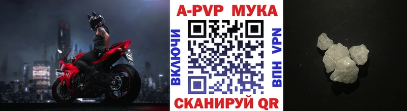 Купить закладки  Новоржев  Alpha PVP кристаллы 
