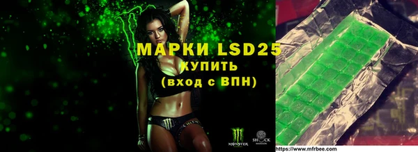 шишки Беломорск