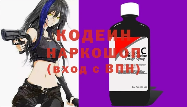 индика Балахна