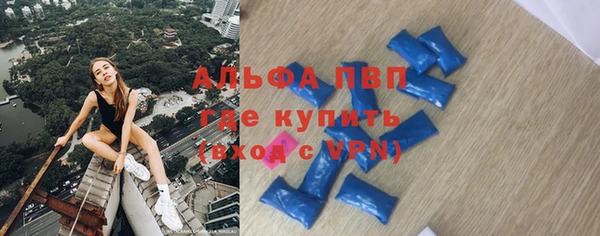 индика Балахна