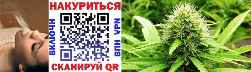 Купить  Новоржев  Бошки Шишки White Widow 